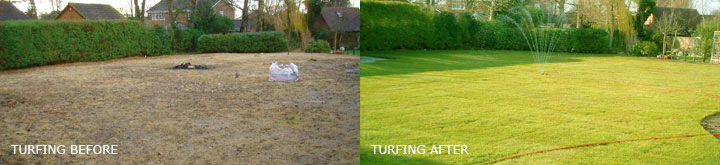 Turfing Before and After